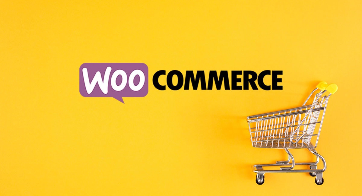 Ecommerce: la chiave del stuo successo online